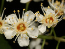 photography27