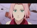 sakura shippuden