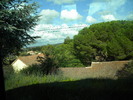 DSCN1915
