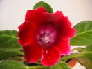 IMGA0235