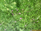 DSC00307