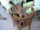 DSCN7331