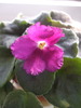DSCF6075