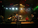 concert (32)