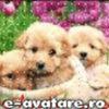 ghbh