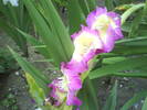 DSC00450
