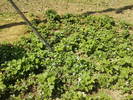 Fotografii-0026
