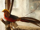 DSCF0299
