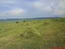 DSC00337