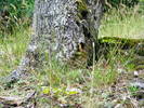 DSCF2578