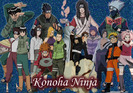 Konoha%20Ninja[1]