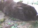 DSC00036