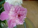 P1120561