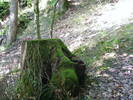 DSCF4652