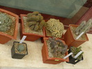 P1000763