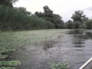DSC01652