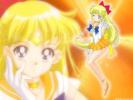 sailor  venus