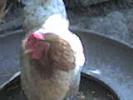 DSC00026