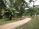 PC050195