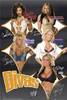 wwe-divas-poster