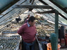 Savu Mircea