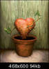 lovelyplantja2_th