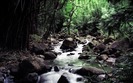 57_hawaiistream_1440x900