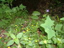 DSCF6079