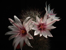 DSC09000
