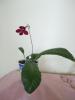 DSCF2733