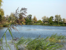 parcul are 2 helestee