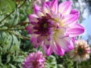 Photography020