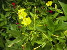 Picture 001