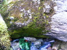 DSCF5180