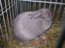 P8161875