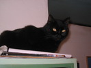 23 dec 2007 055