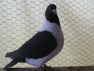IMG_0002