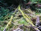 DSCF5189