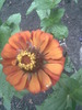 Imag024