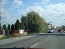 Picture 088
