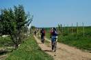 DSC_1725[1]