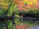 25_1024[1]