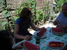 DSCN7293