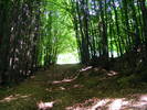 DSCF1047