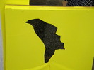 DSCN3189