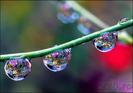 from_220_ro_13948