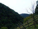 DSCF5408