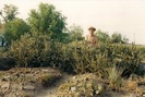 scan0010
