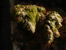 DSC09532