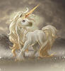 unicorn[1]